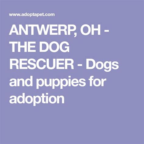 antwerp ohio dog rescue